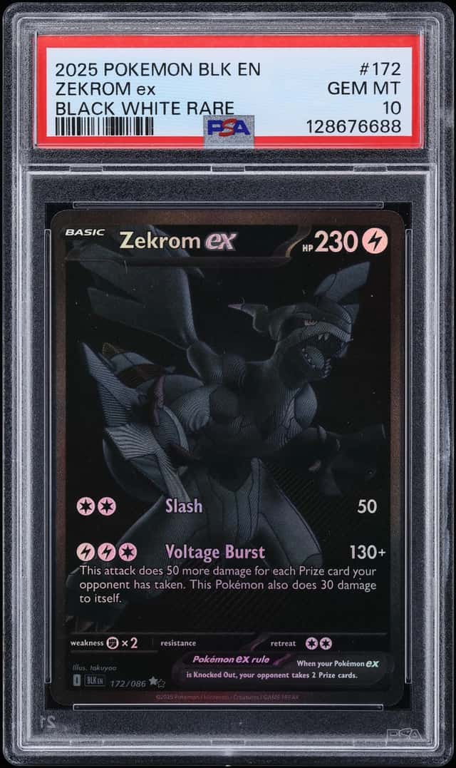 ZEKROM ex