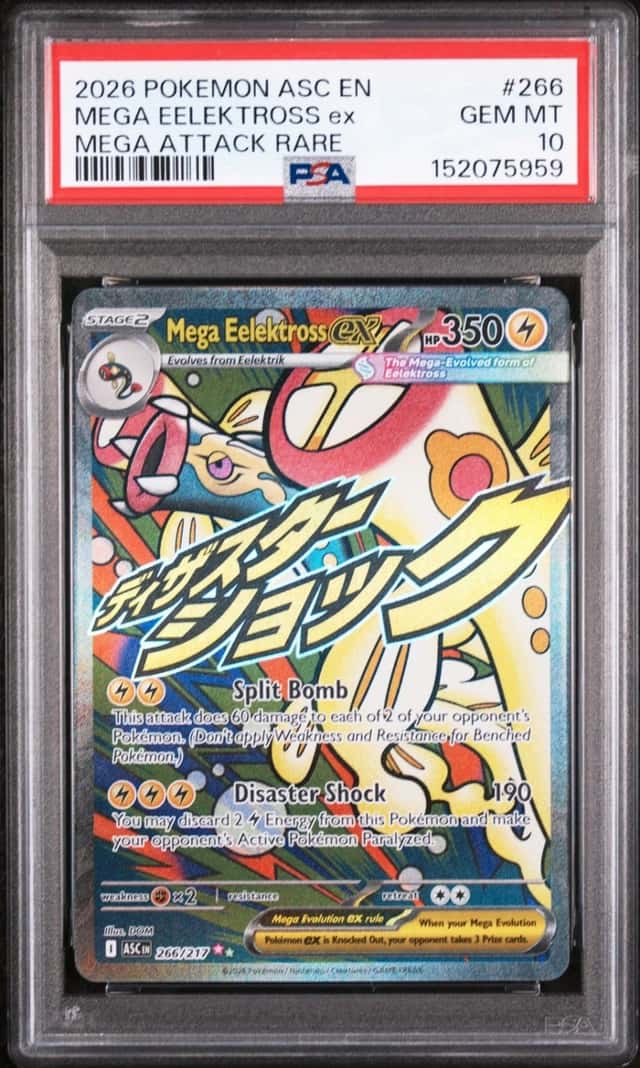 MEGA EELEKTROSS ex