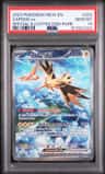 Zapdos Ex