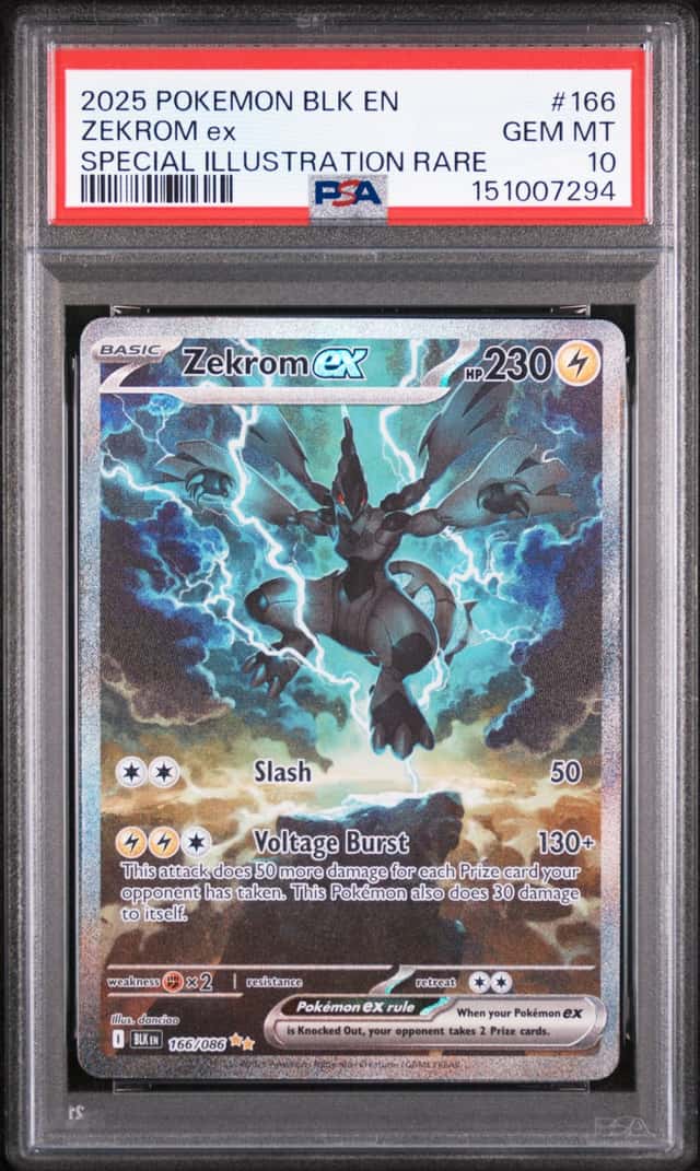 ZEKROM ex