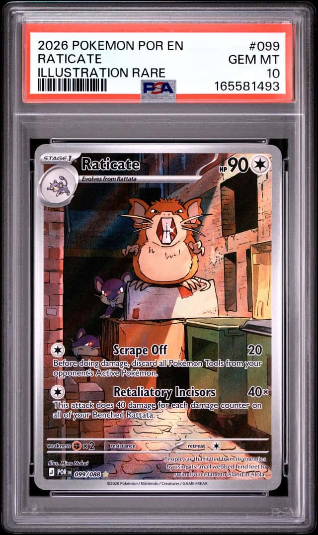 Raticate