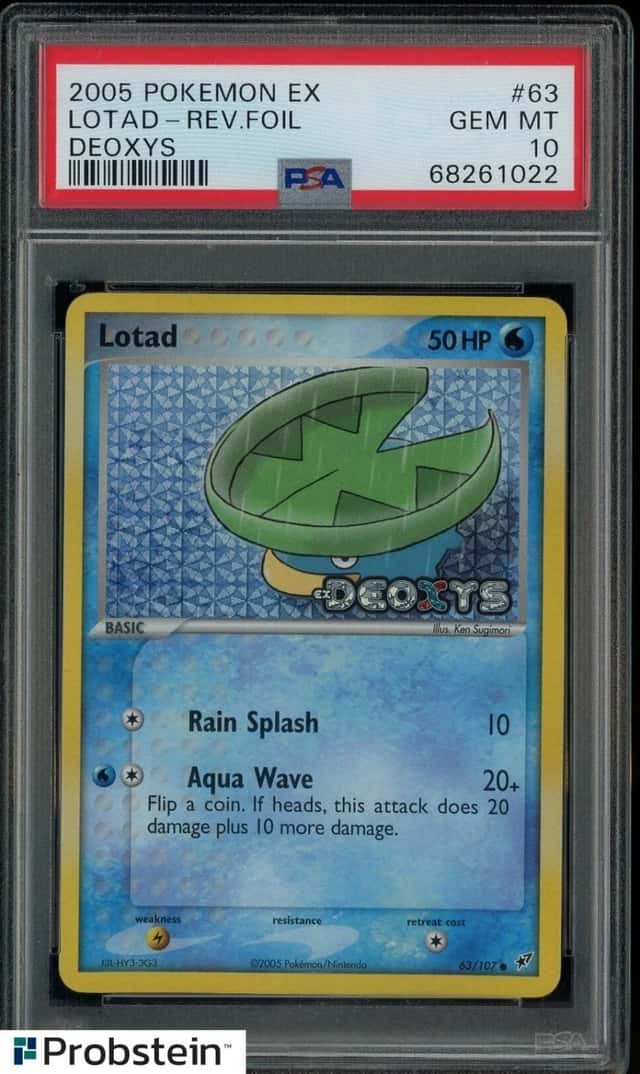 Lotad