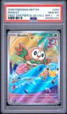 Rowlet