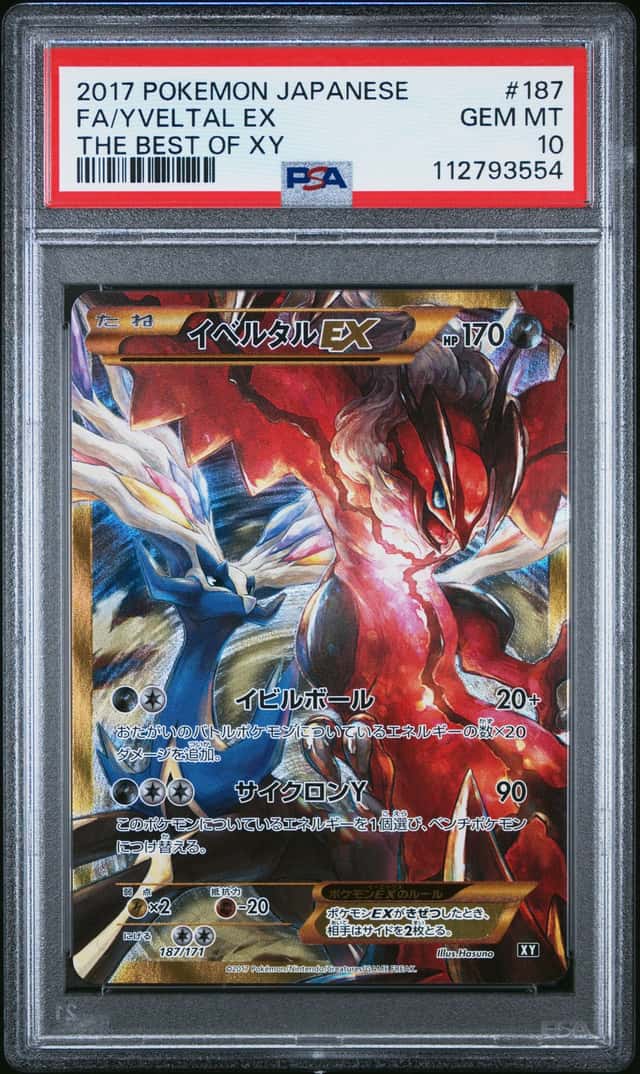 Yveltal EX