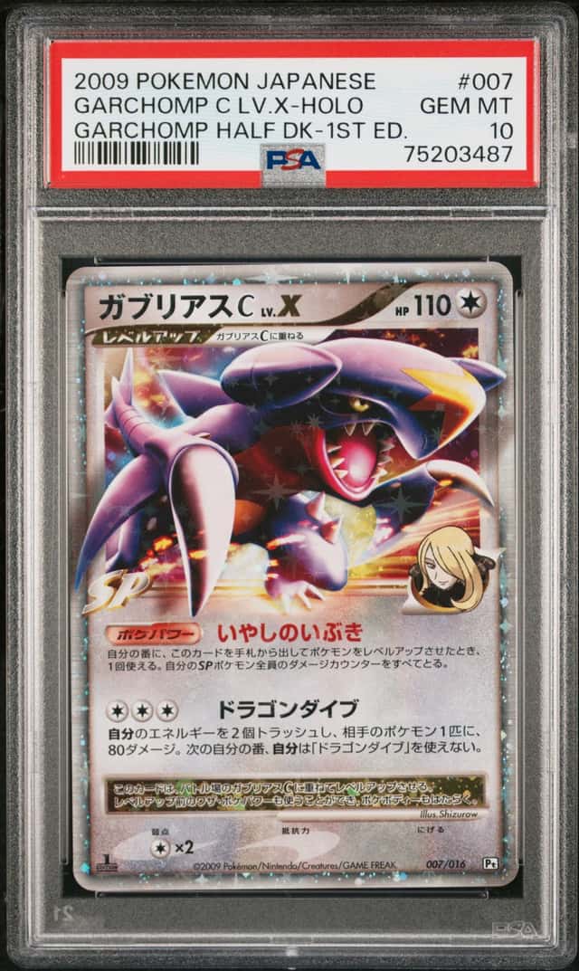 GARCHOMP C LV.X