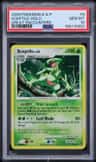 Sceptile
