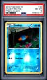 Mudkip