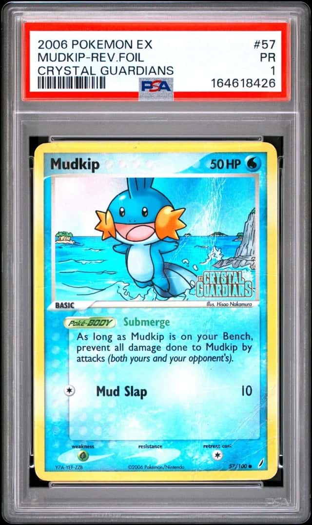 Mudkip