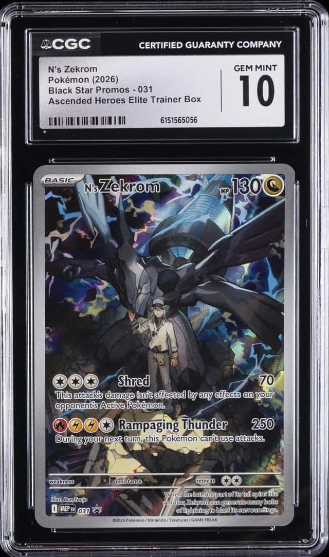 N's Zekrom