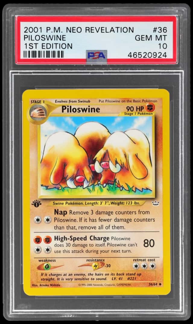 Piloswine