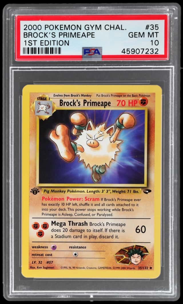 Brock's Primeape