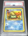 Omanyte