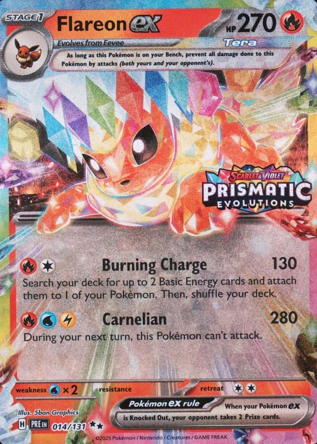 Holo · Box Exclusive Surprise