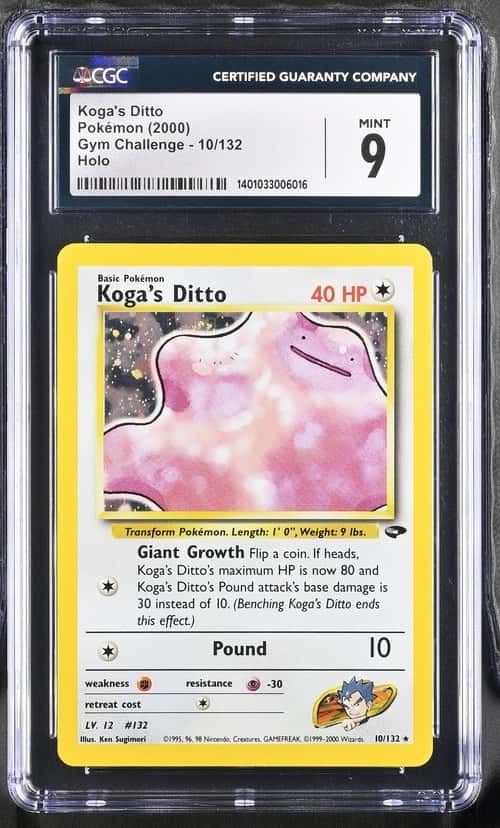 Koga's Ditto