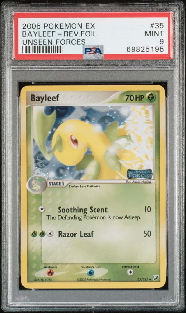 Bayleef