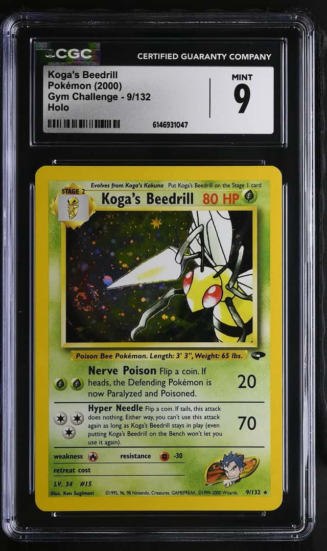 Koga's Beedrill