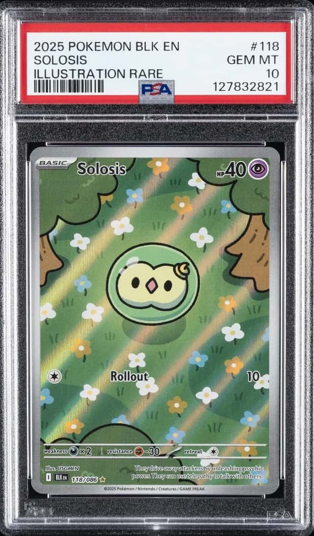 Solosis