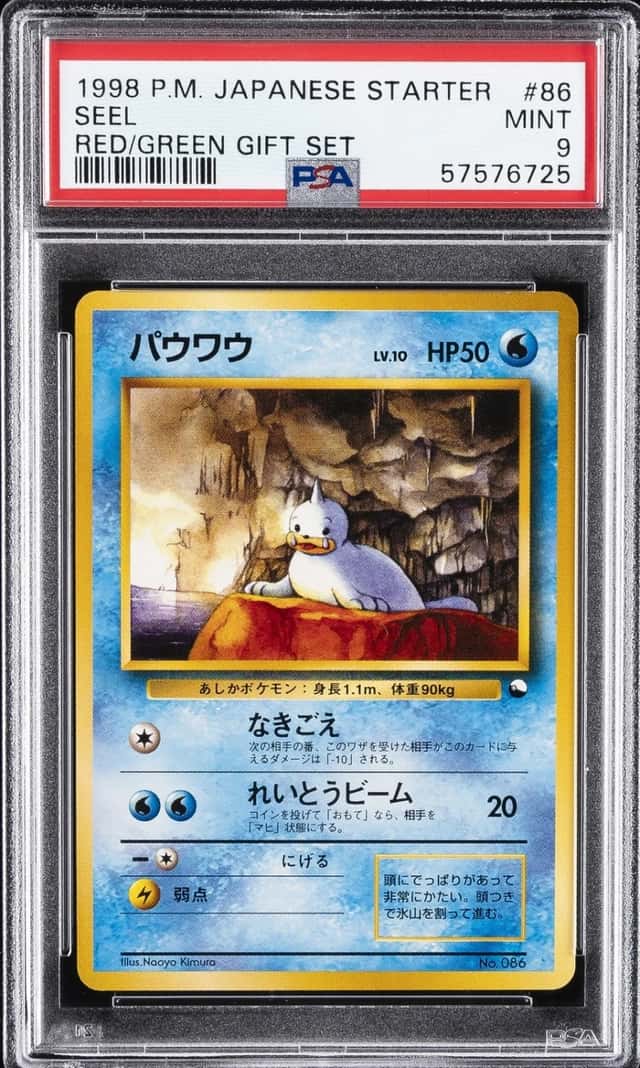 Seel