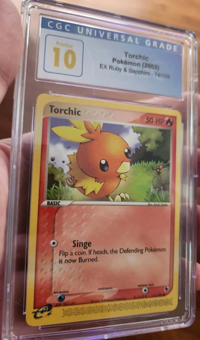 Torchic