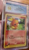 Torchic