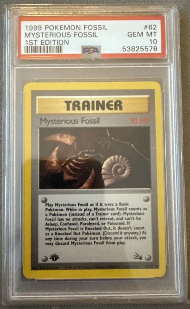 Mysterious Fossil