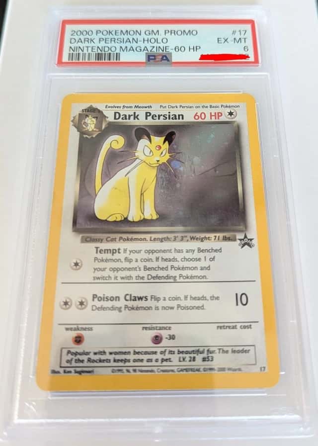 Dark Persian