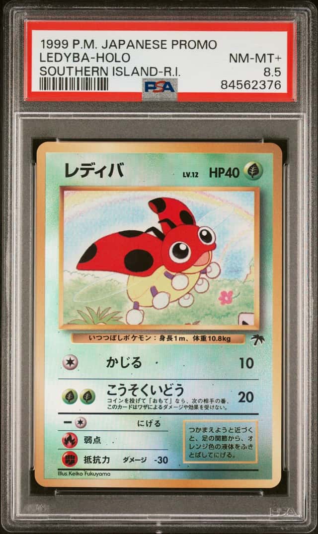 Ledyba