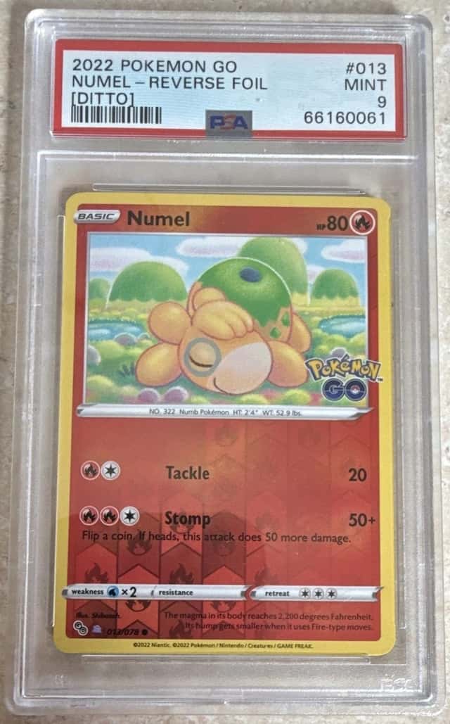 Numel (Ditto)