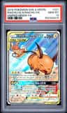 Raichu & Alolan Raichu Gx