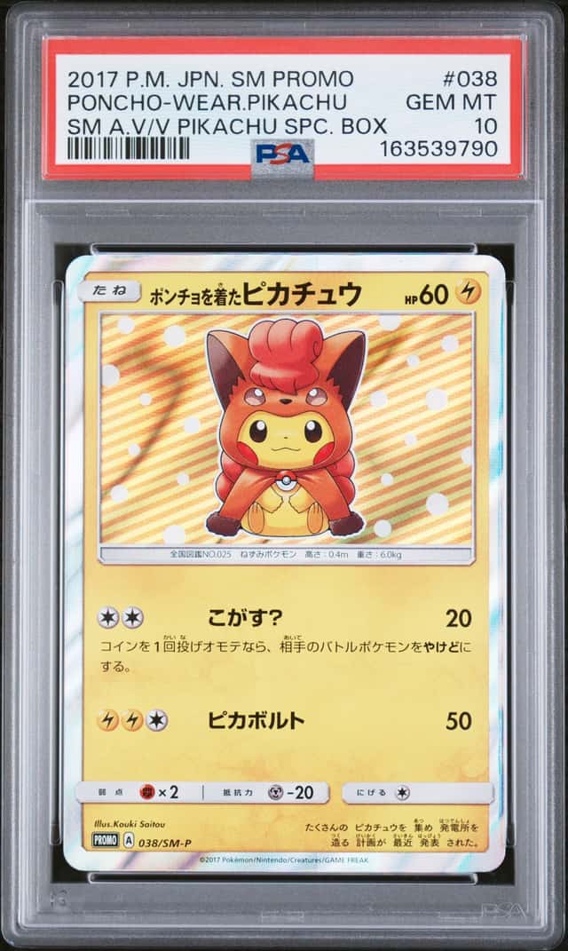 Poncho-Wearing Pikachu