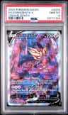 Zamazenta V