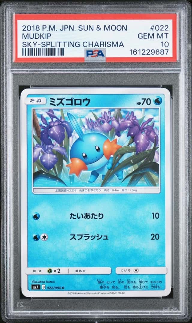 Mudkip