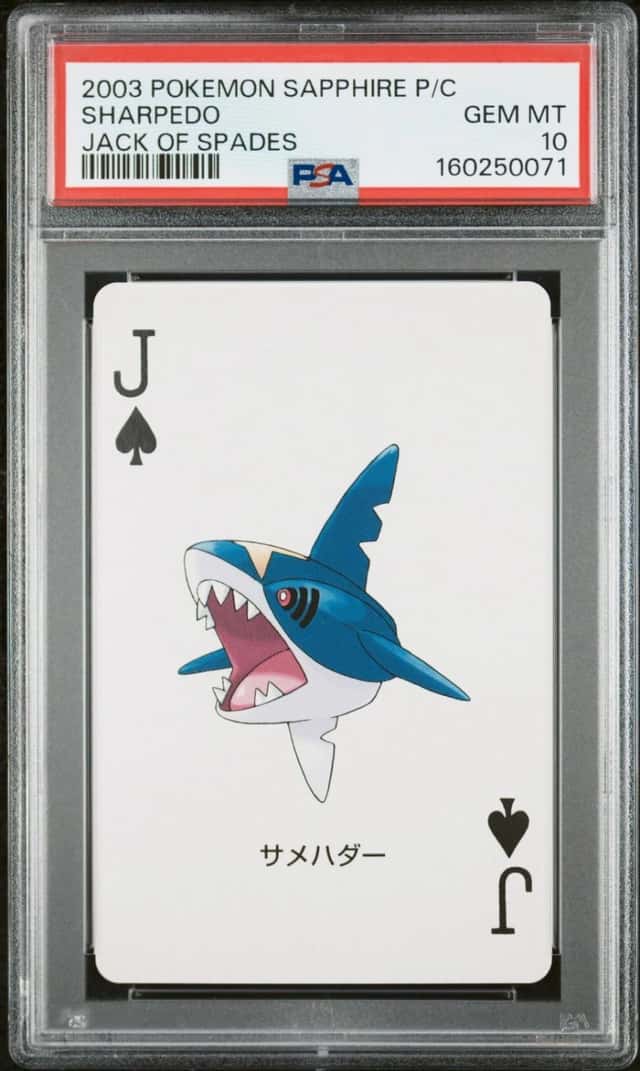 Sharpedo