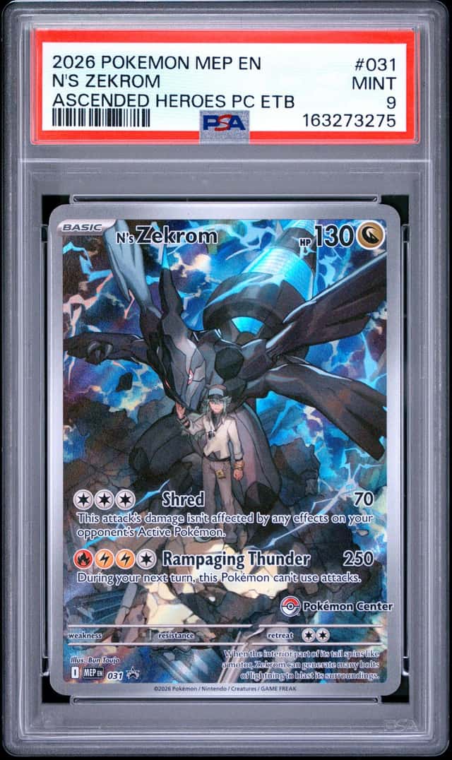 N's Zekrom