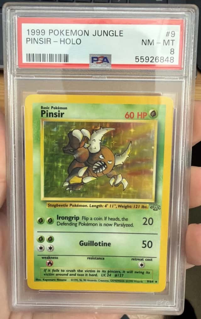 Pinsir