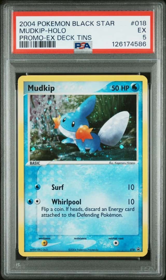 Mudkip