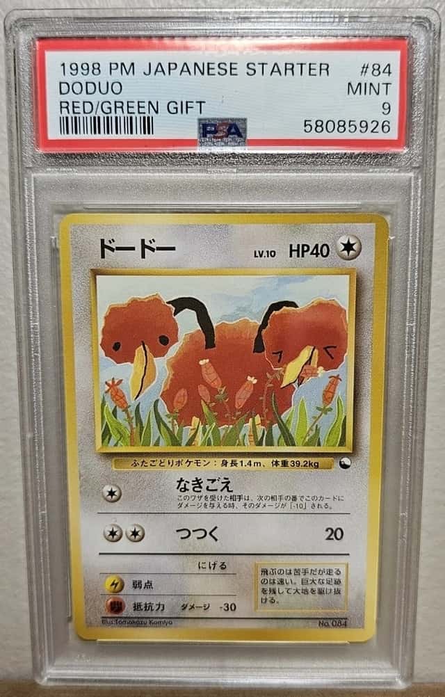 Doduo