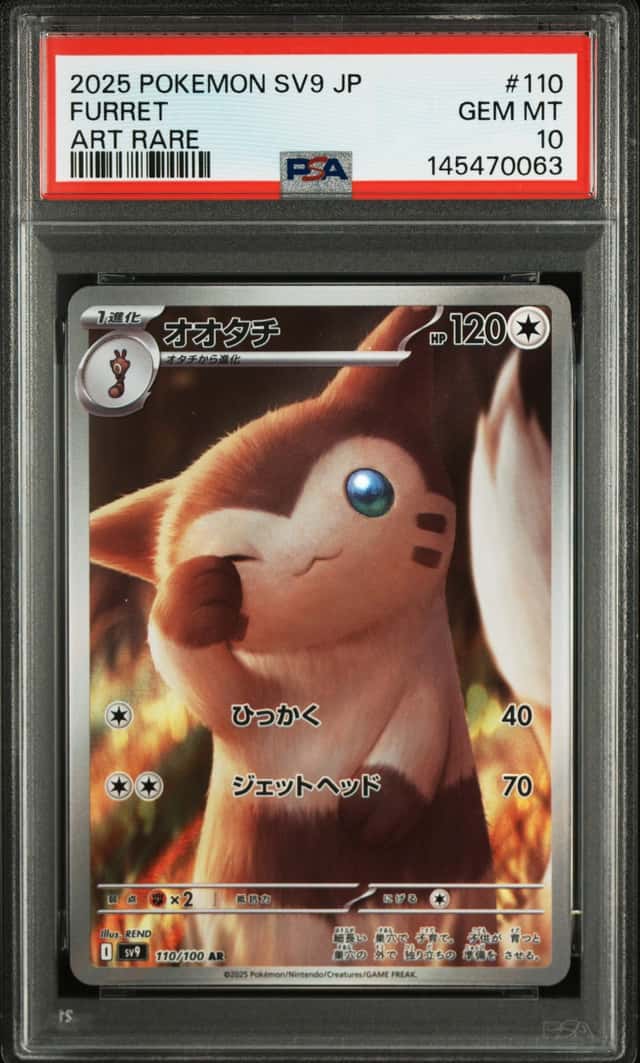 Furret