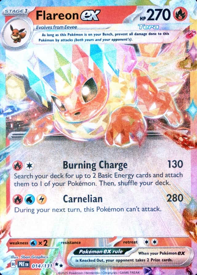 Holo