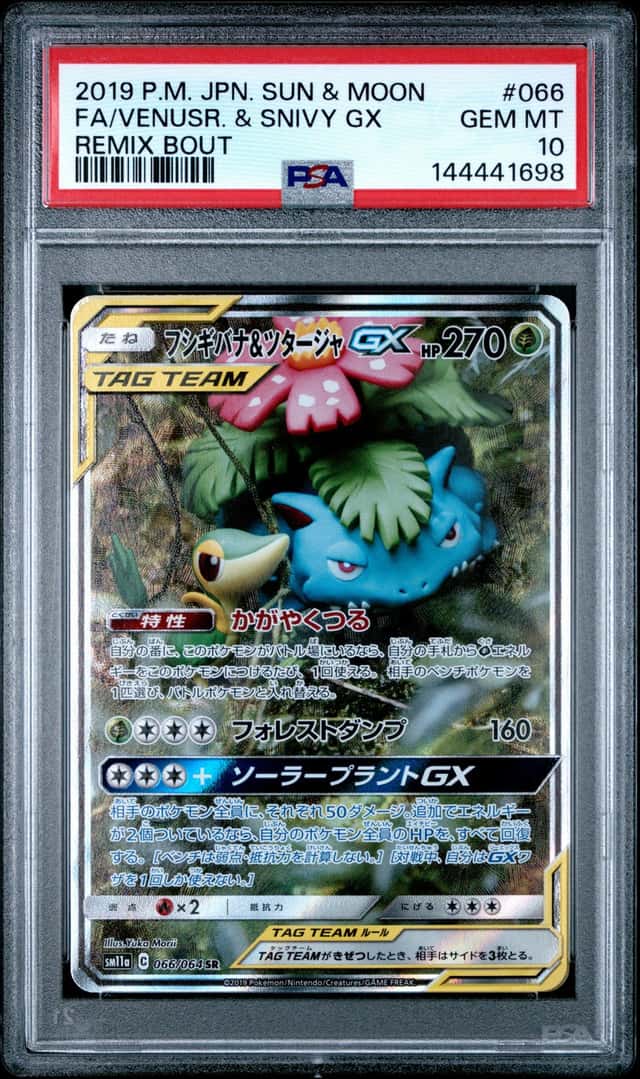 Venusaur & Snivy GX