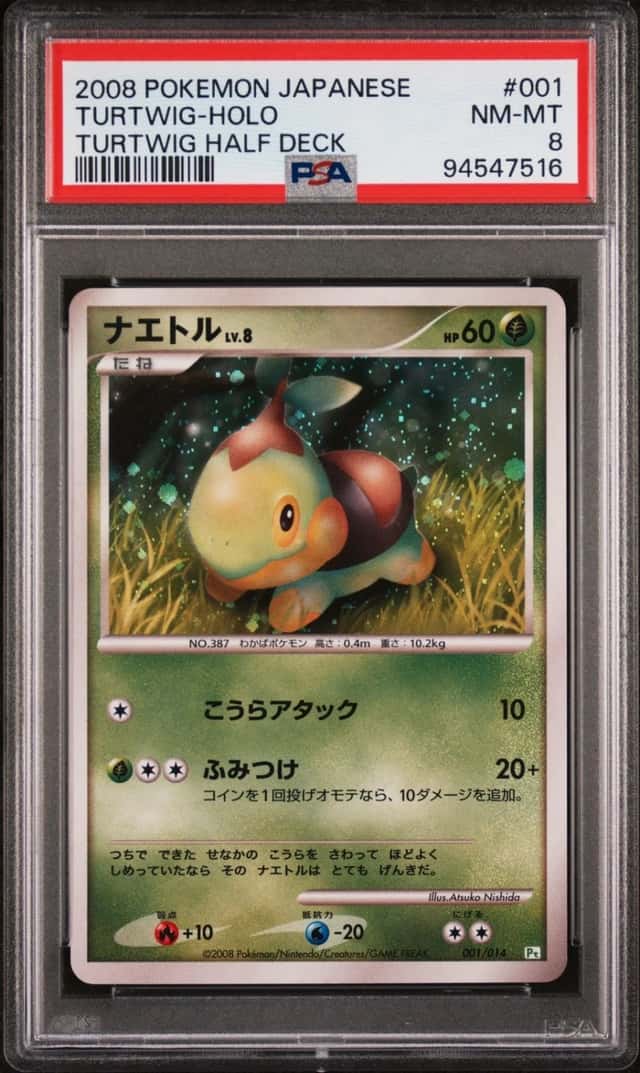 Turtwig