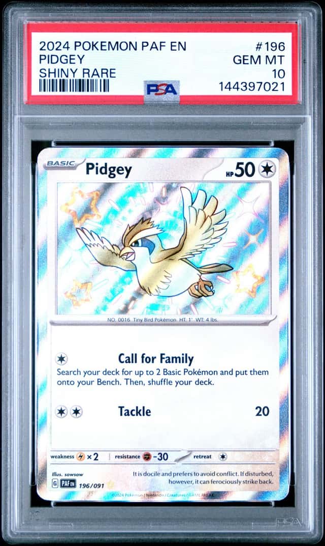 Pidgey