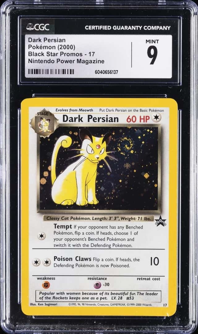 Dark Persian