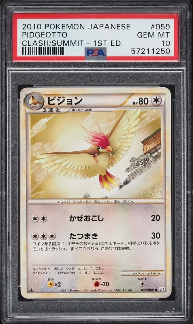 Pidgeotto