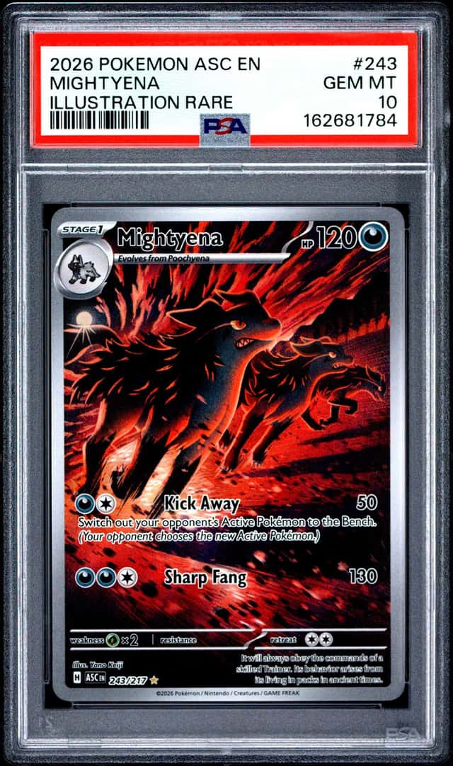 2026 POKEMON ASC EN-ASCENDED HEROES ILLUSTRATION RARE #243 MIGHTYENA PSA 10
