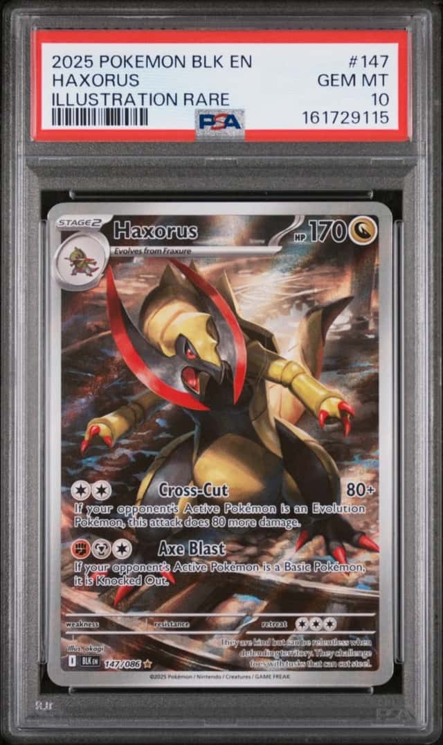 Haxorus