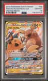 Raichu & Alolan Raichu Gx
