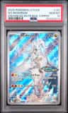N'S Reshiram
