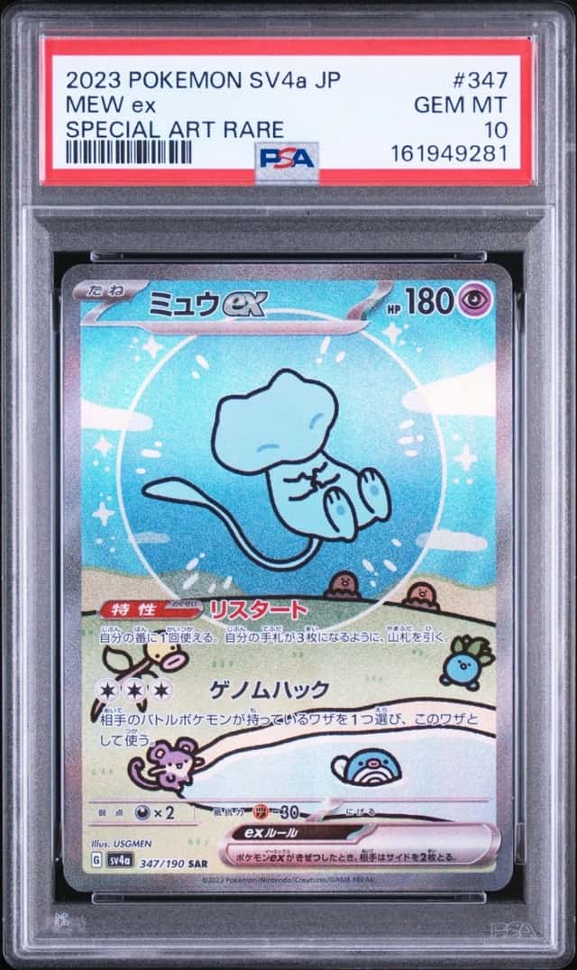 MEW ex