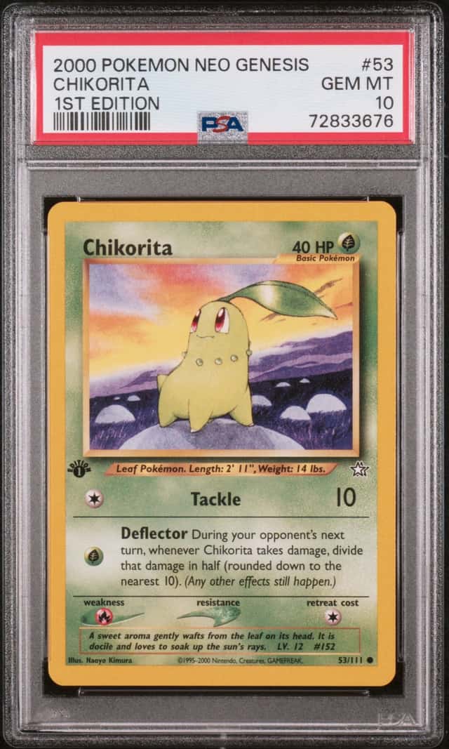 Chikorita